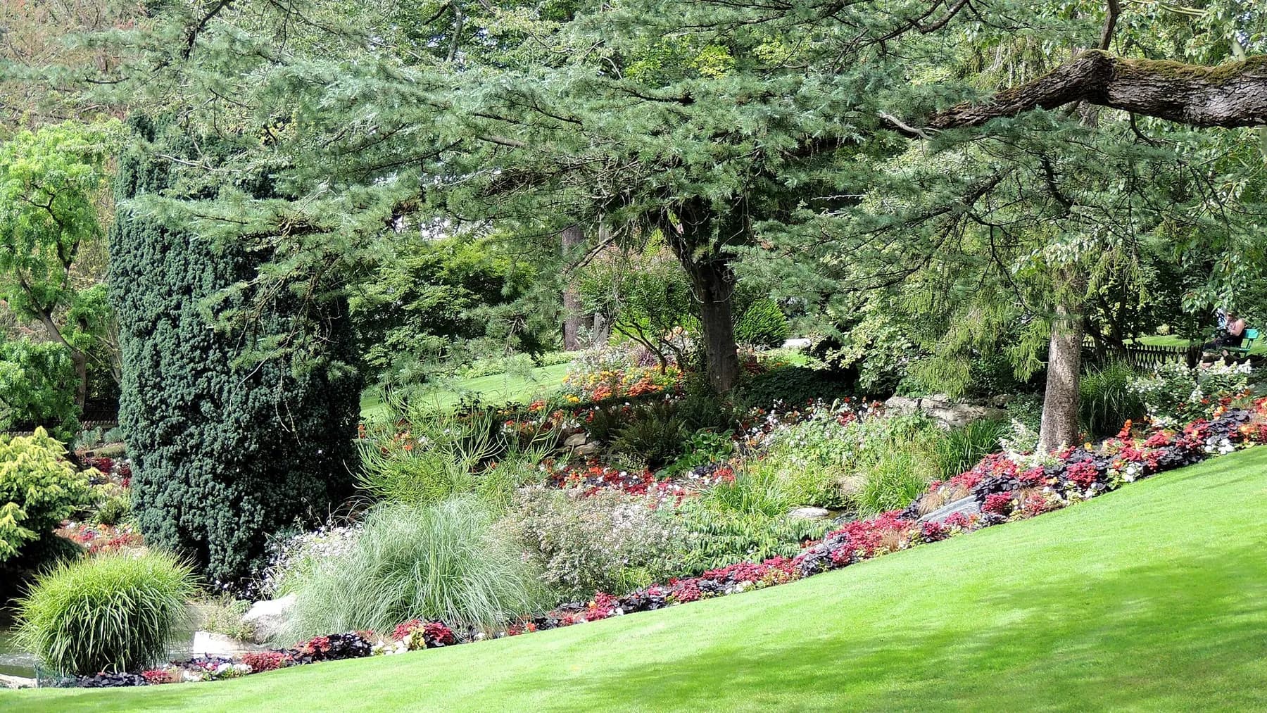 Allées et pelouses verdoyantes du jardin des Plantes d'Angers en été