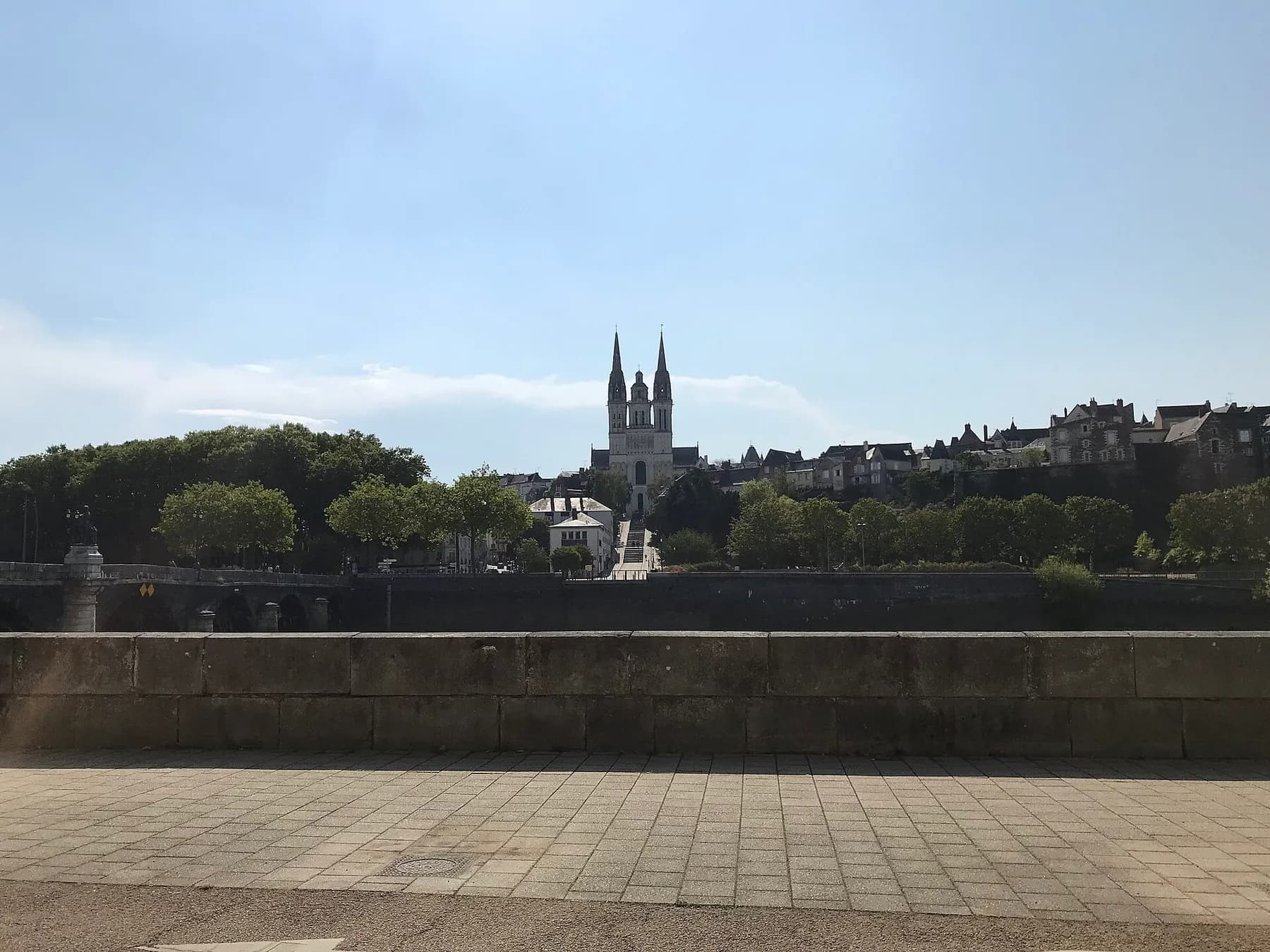 La cathédrale Saint-Maurice vue depuis le quai des Carmes, de l'autre rive