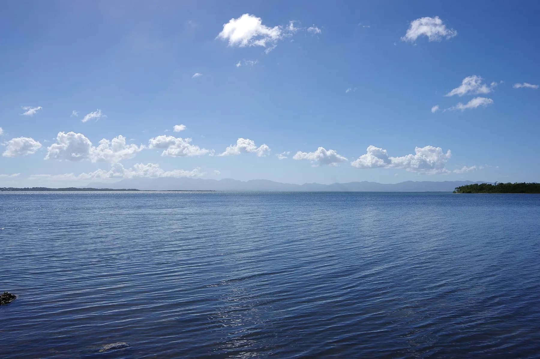 Le lagon du Grand Cul-de-sac marin vu depuis Beautiran