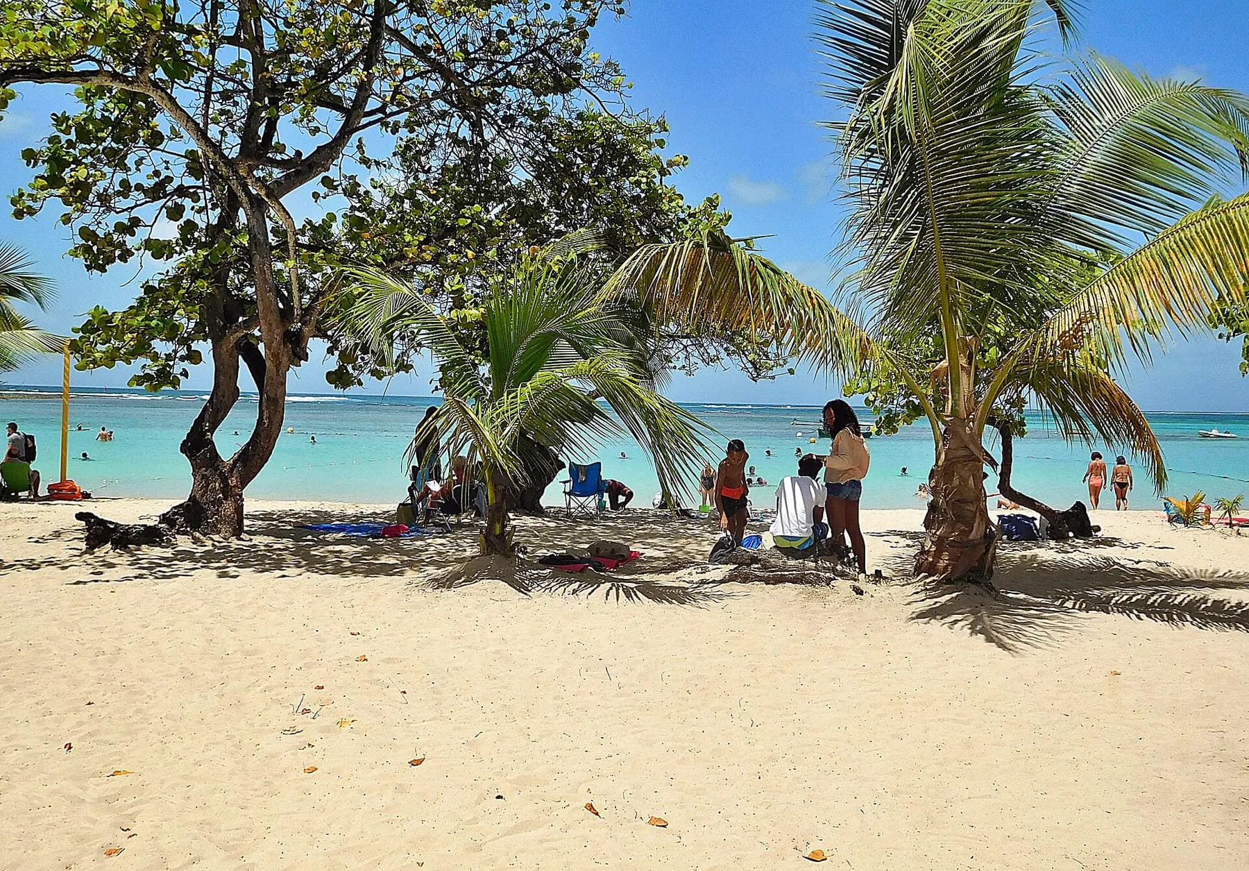 Plage municipale de Sainte-Anne, sable blanc et eau turquoise en Guadeloupe