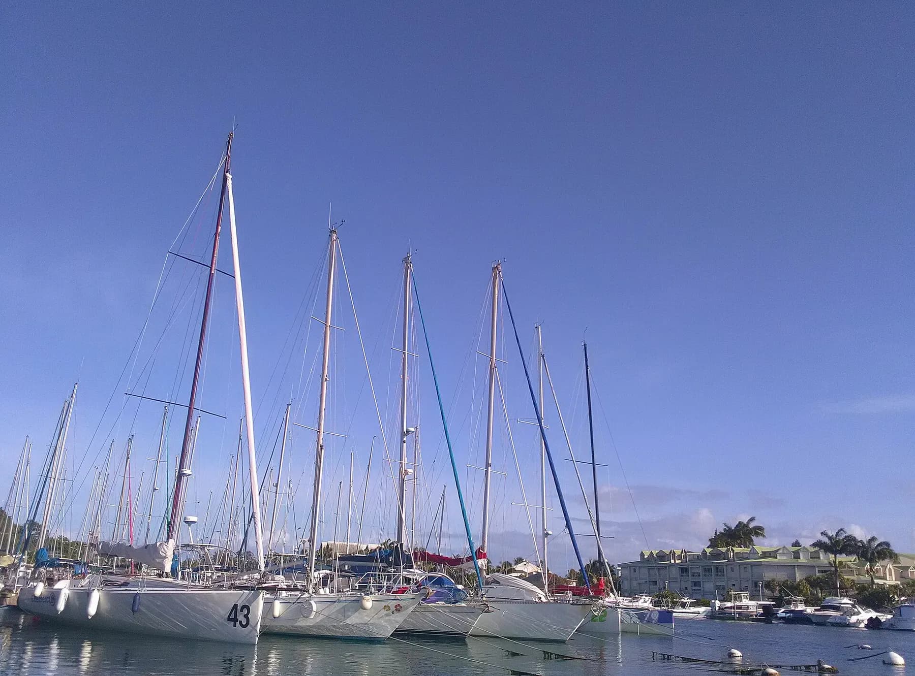 Bateaux amarrés à la marina de Bas-du-Fort au Gosier