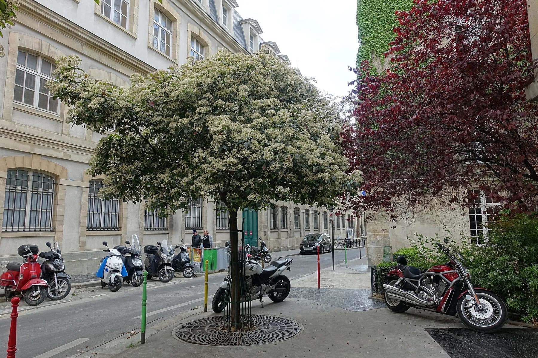 Une rue commerçante du Marais à Paris