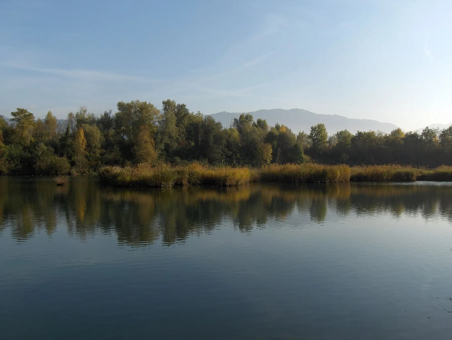 La réserve naturelle du delta de la Dranse près de Thonon-les-Bains